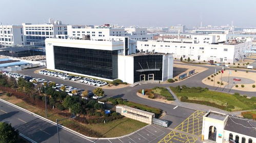 面對集采和行業內卷,諾泰生物董事長童梓權 要把公司打造得 小而美