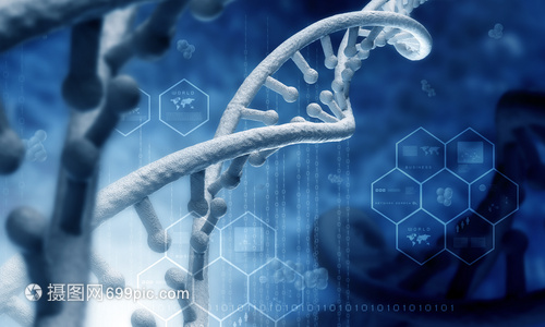 DNA分子高科技DNA分子的生物化學背景