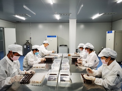 &ldquo;四蟲一劑&rdquo;引領(lǐng)科技創(chuàng)新全面塑造發(fā)展新優(yōu)勢