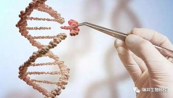 新技術發展迅速 生物科技成投資熱點