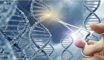 華中大又一篇 自然 ,這次是人文學科貢獻的