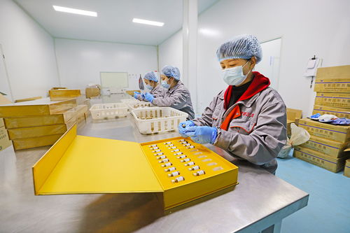 2024山東 東阿 中醫(yī)藥文化旅游體驗(yàn)周丨來聊城,感受中醫(yī)藥文化的魅力