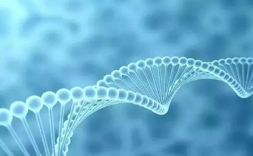 華生云康基因檢測(cè),讓愛(ài)沒(méi)有遺憾