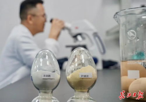 這家企業(yè)讓雞蛋身價提升千倍