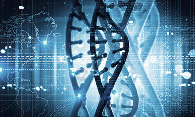 DNA分子高科技DNA分子的生物化學背景