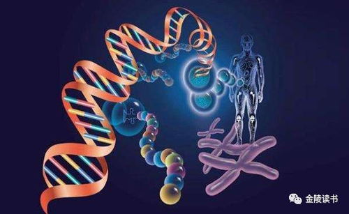 基因編輯 生物科技改寫人類未來的雙刃劍