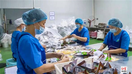 成都金堂精準(zhǔn)施策“拼經(jīng)濟(jì)” 476家企業(yè)全力以“復(fù)”發(fā)展生物科技