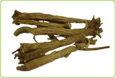 上海沐川生物科技 植物提取物產品概覽與創新應用